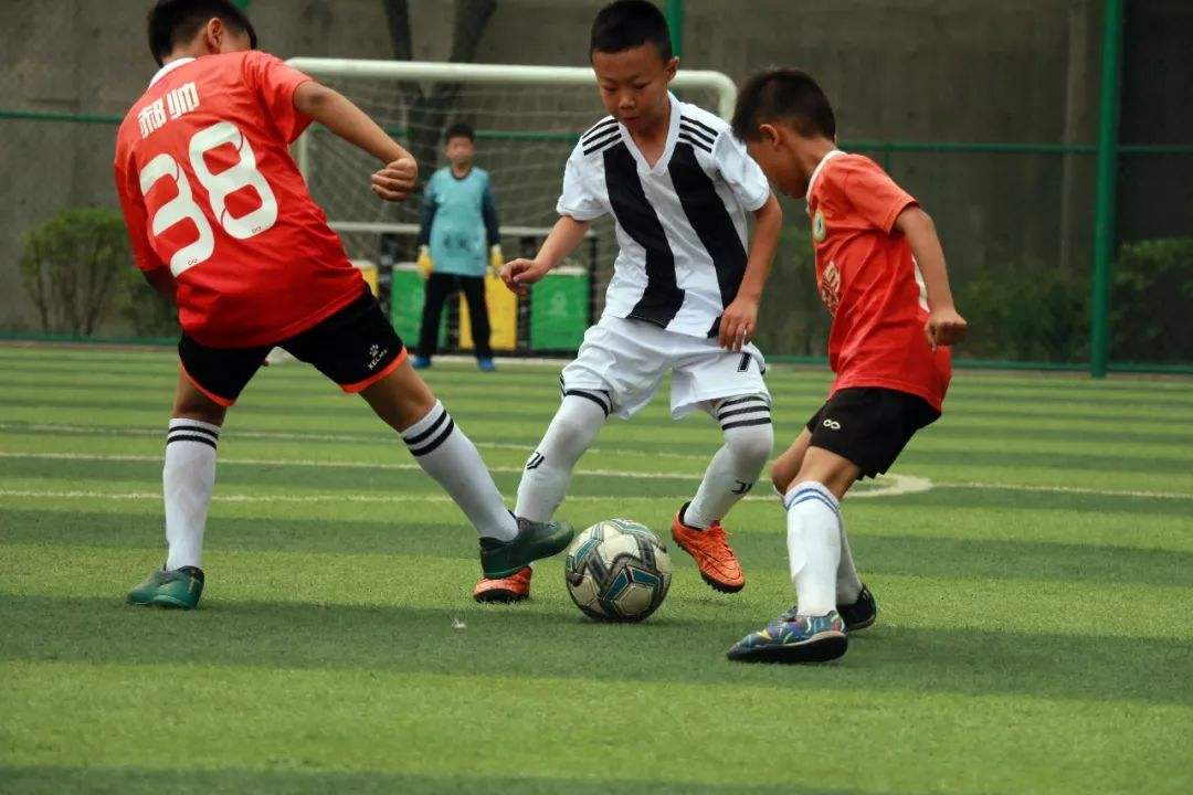 朵拉户外自行车